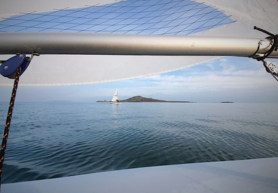 Pirates aren't the only things that can work on one leg