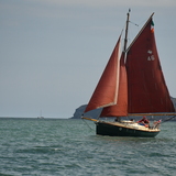 Mark Lynch's 'Alice'