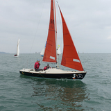 Emer Harte's Squib 'Puffin'